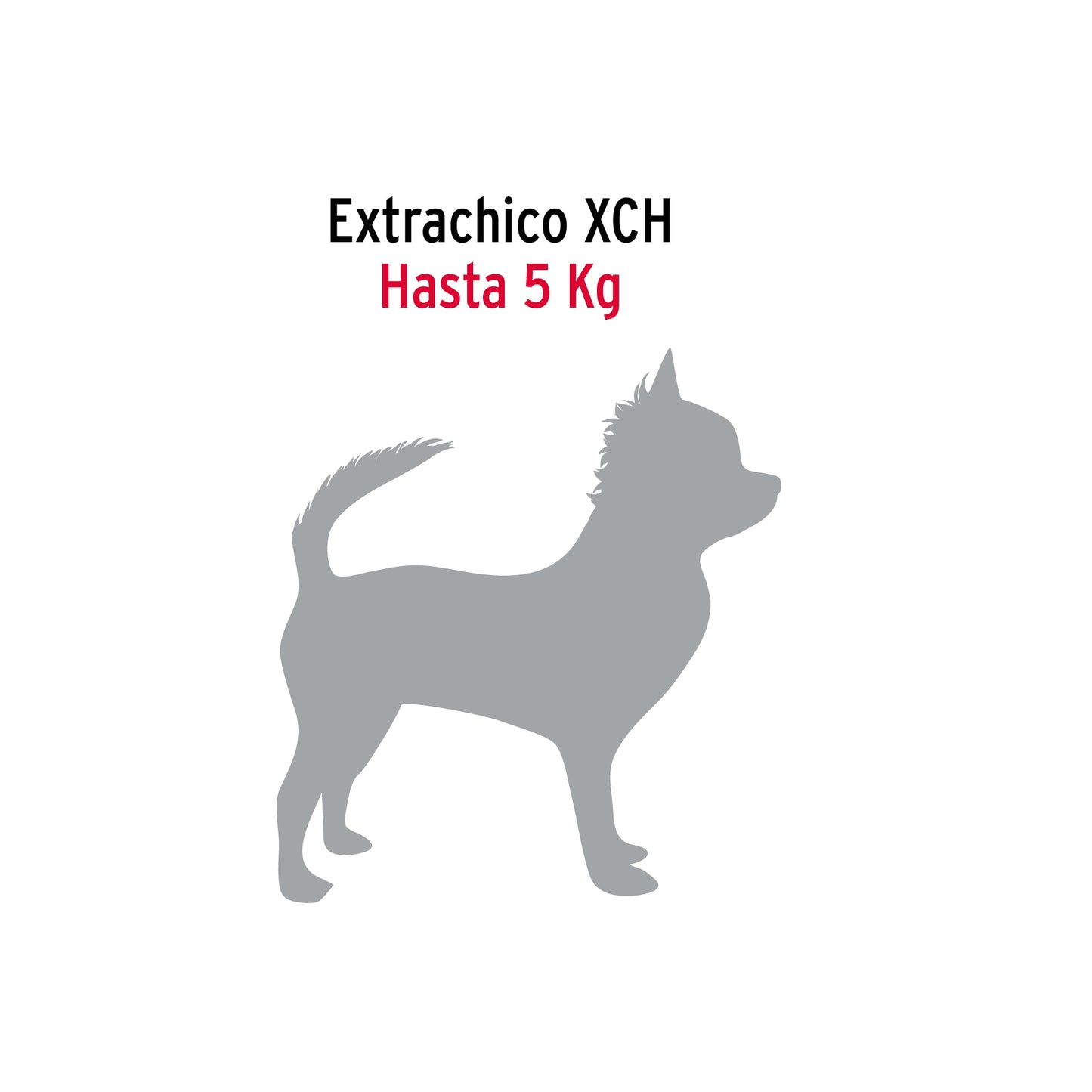 Cadena de paseo para perro de 1.2 m x 2 mm, FIERO